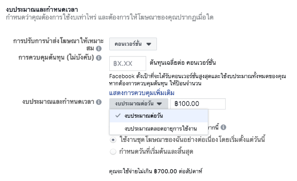 การกำหนดงบประมาณรายวัน งบประมาณตลอดอายุการใช้งาน facebook ads
