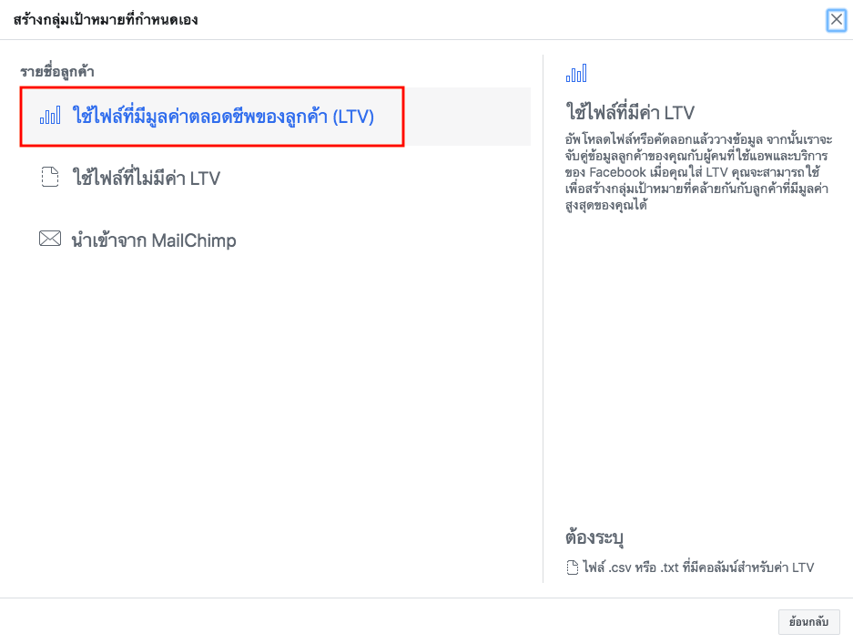 Custom Audience With LTV